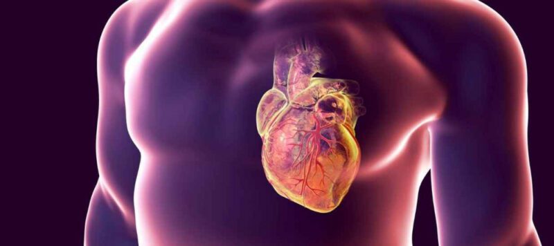 Adana Mitral Yetmezlik Tedavisi Mitral Kapak Yetmezliği Nedir? Belirtileri ve Tedavisi Adana Mitral Yetmezlik Tedavisi Mitral Kapak Yetmezliği Nedir? Belirtileri ve Tedavisi