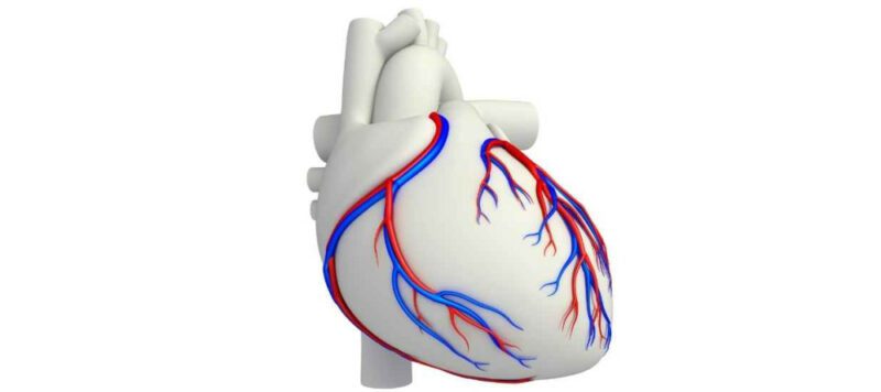Kompleks Koroner Arterli Hastala Kompleks Koroner Arterli Hastalara Girişim Kompleks Koroner Arterli Hastala Kompleks Koroner Arterli Hastalara Girişim