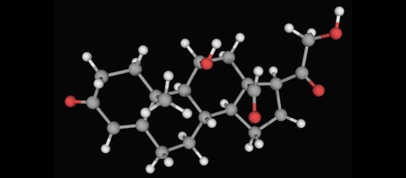 Aldosteron Nedir Aldosteron Hormonu Ne Ise Yarar Aldosteron Nedir? Aldosteron Hormonu Ne İşe Yarar? Aldosteron Nedir Aldosteron Hormonu Ne Ise Yarar Aldosteron Nedir? Aldosteron Hormonu Ne İşe Yarar?
