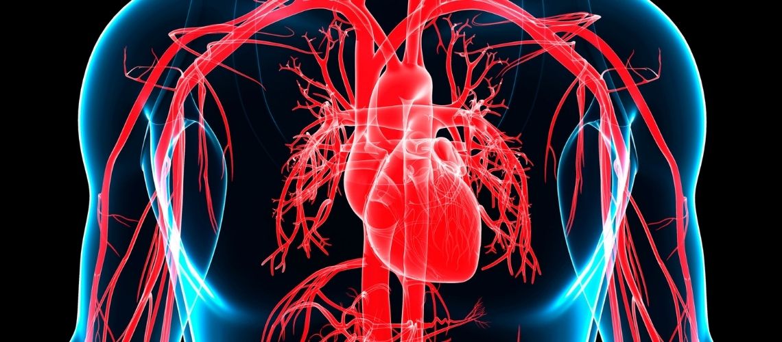 Kalp Nasil Calisir Kalp Nasıl Çalışır?