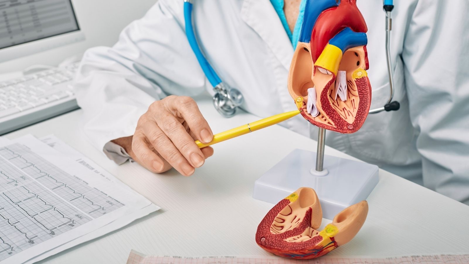 Adanada Kardiyoloji Bolumu Olan Devlet Hastaneleri Adana'da Kardiyoloji Bölümü Olan Devlet Hastaneleri