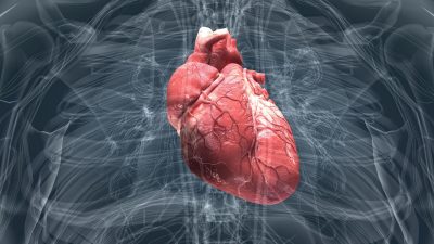 Kalp Buyumesi Nedir Belirtileri Nedenleri ve Tedavisi Kalp Büyümesi Nedir? Belirtileri, Nedenleri ve Tedavisi